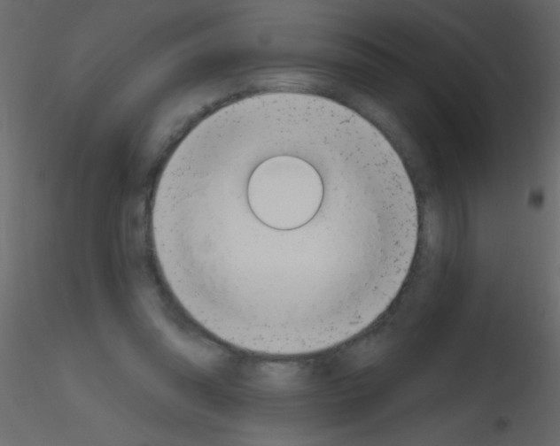 X0000115810302200912241920