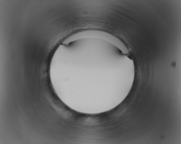 X0000115810303200912241920