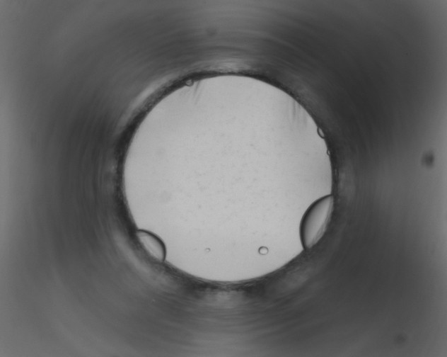 X0000115810304200912241920