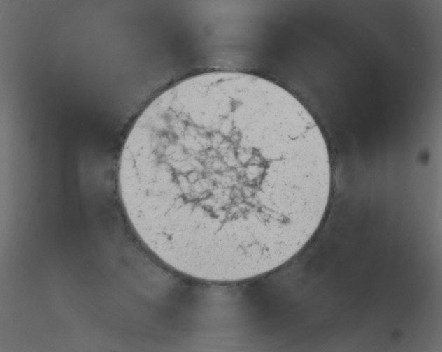 X0000115810305200912241920