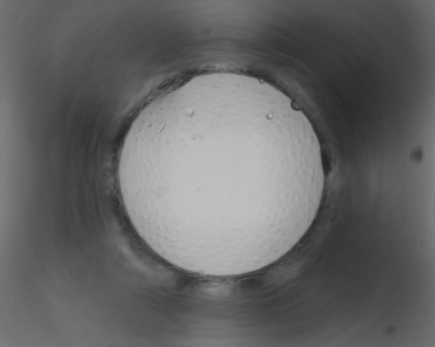 X0000115810306200912241920