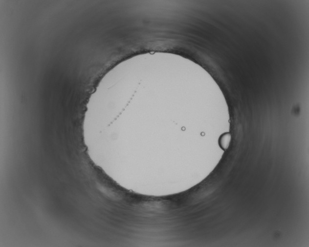 X0000115810307200912241920