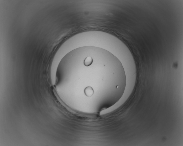 X0000115810308200912241919