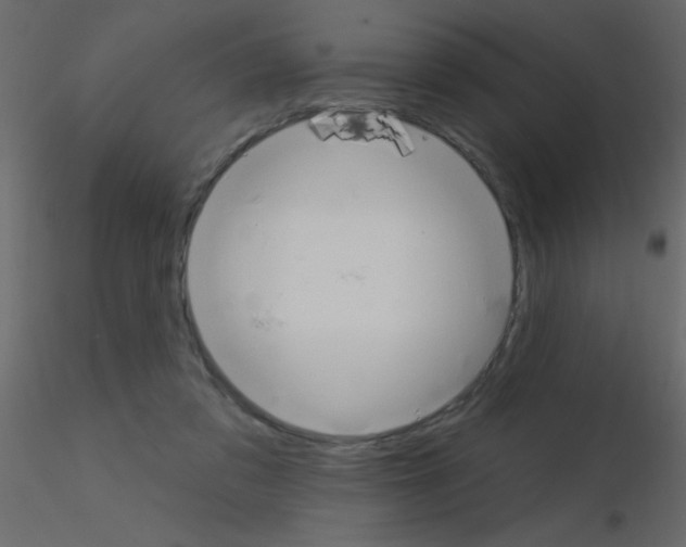 X0000115810309200912241919