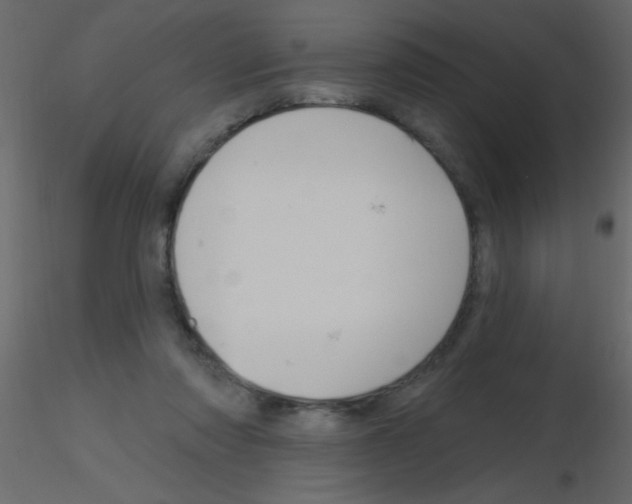 X0000115810310200912241919