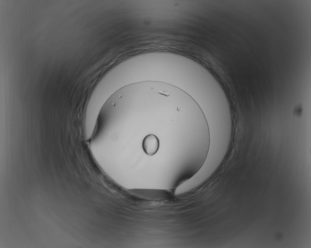 X0000115810313200912241919