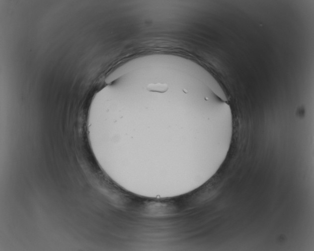 X0000115810315200912241919