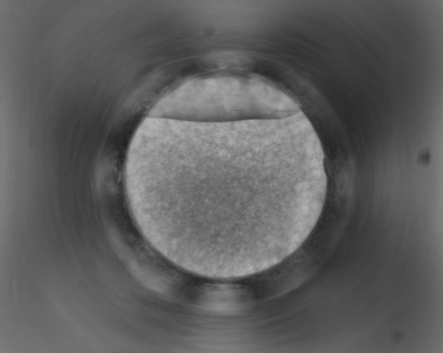 X0000115810316200912241919