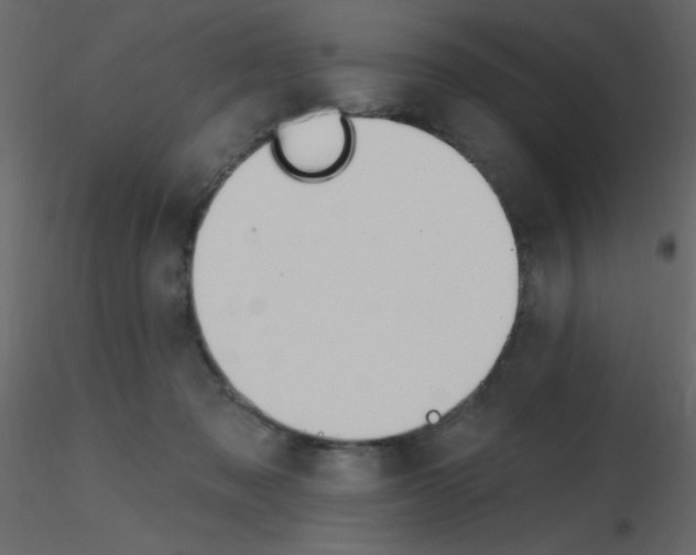 X0000115810317200912241919