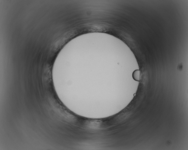 X0000115810318200912241919