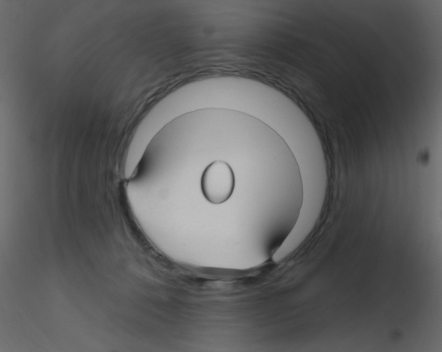 X0000115810320200912241919