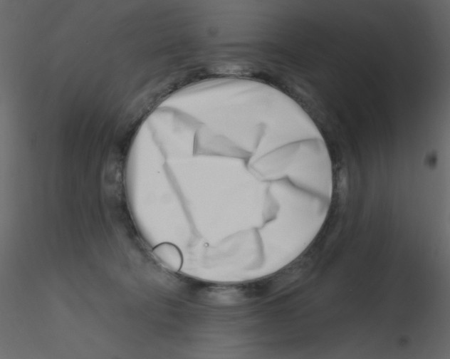 X0000115810322200912241919