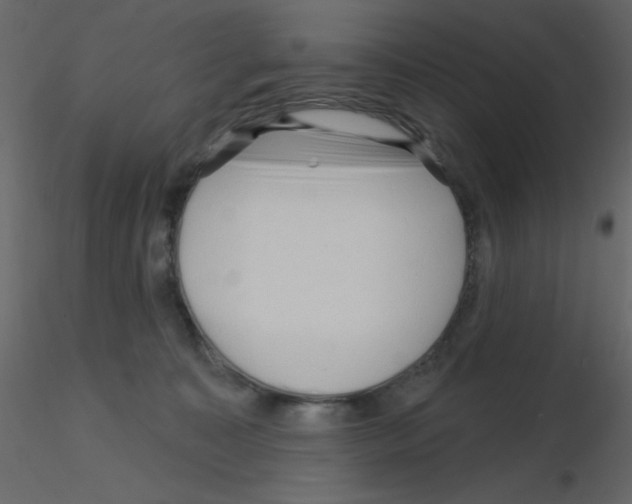 X0000115810323200912241919