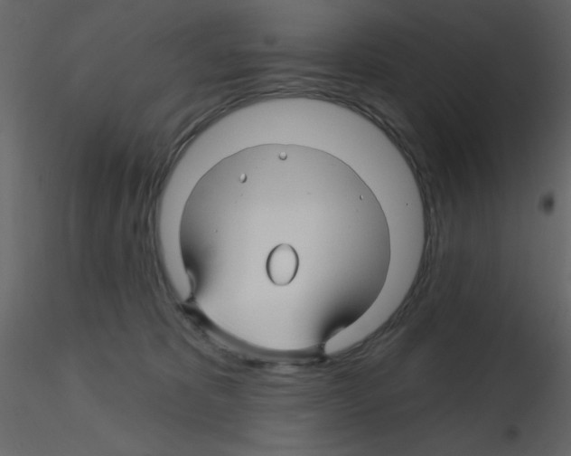 X0000115810325200912241919