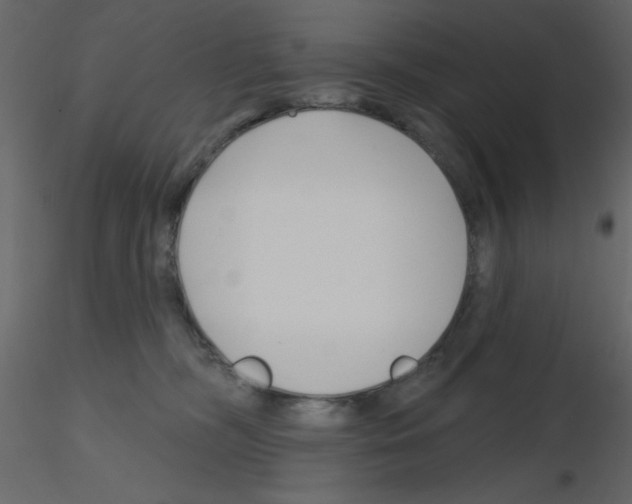 X0000115810326200912241919