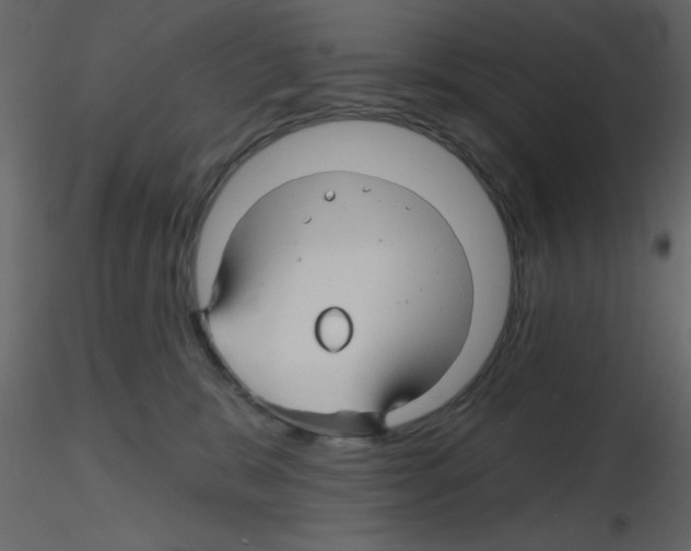 X0000115810327200912241919