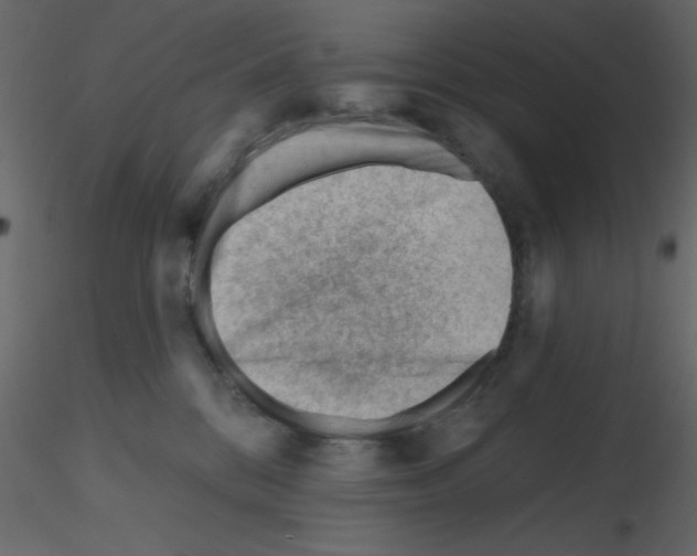 X0000115810328200912241919