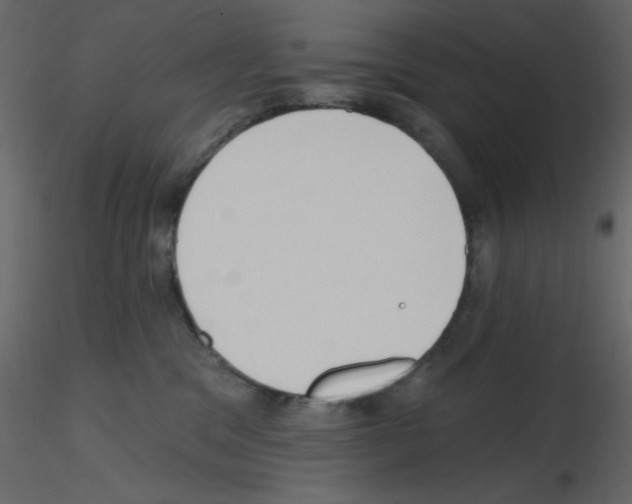 X0000115810329200912241919