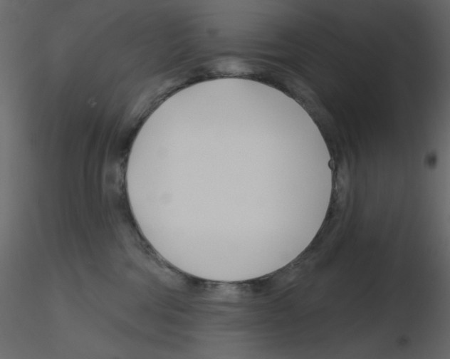 X0000115810330200912241919