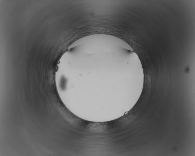 X0000115810331200912241919