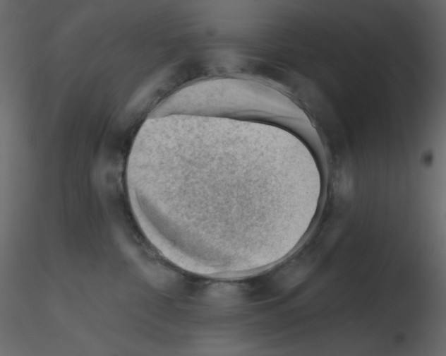 X0000115810332200912241919