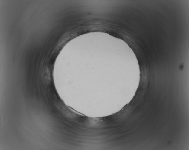 X0000115810333200912241919