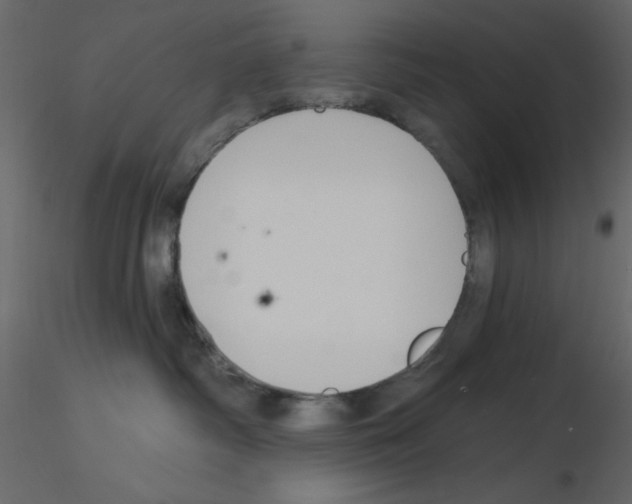 X0000115810334200912241919