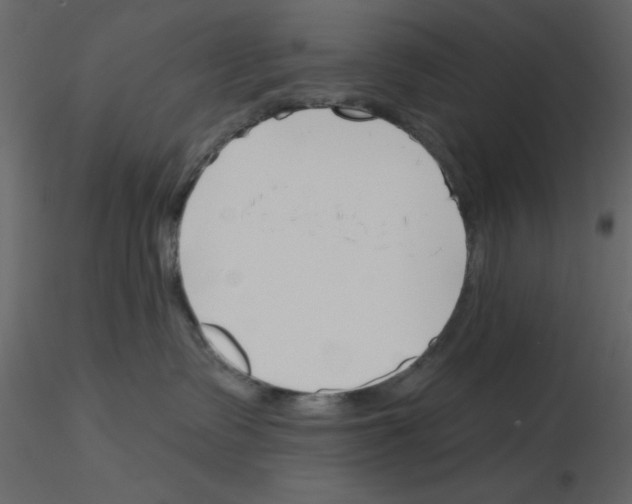 X0000115810335200912241919