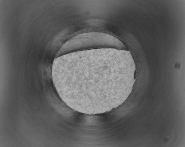 X0000115810336200912241919