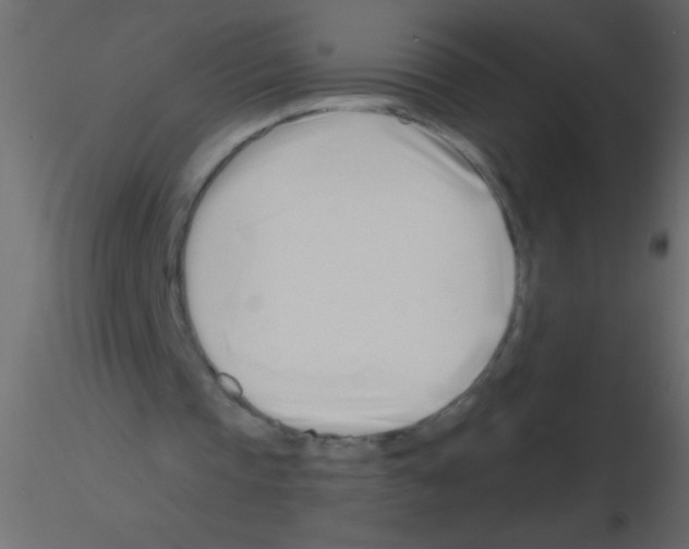 X0000115810337200912241918