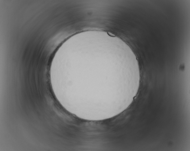 X0000115810338200912241918
