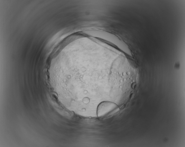 X0000115810339200912241918
