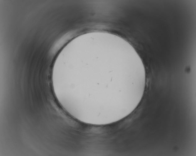 X0000115810341200912241919