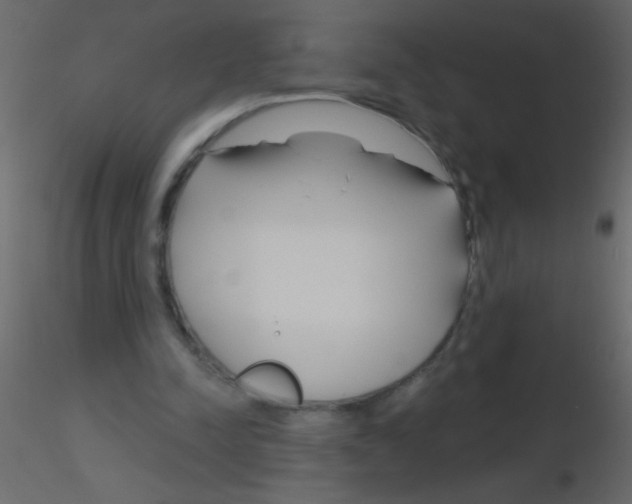 X0000115810342200912241919