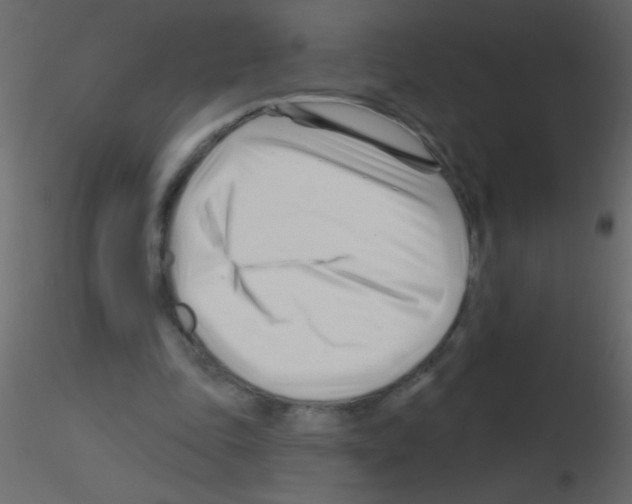 X0000115810343200912241919