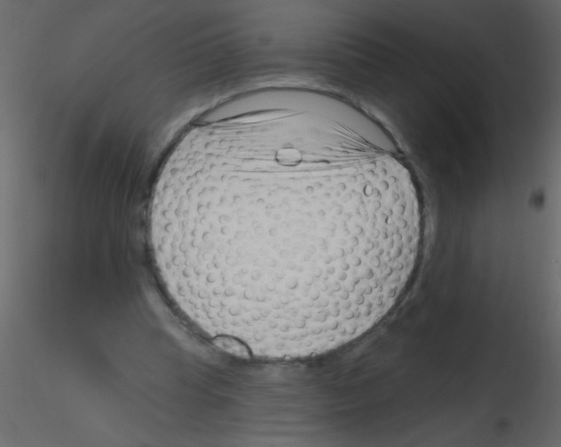 X0000115810345200912241919