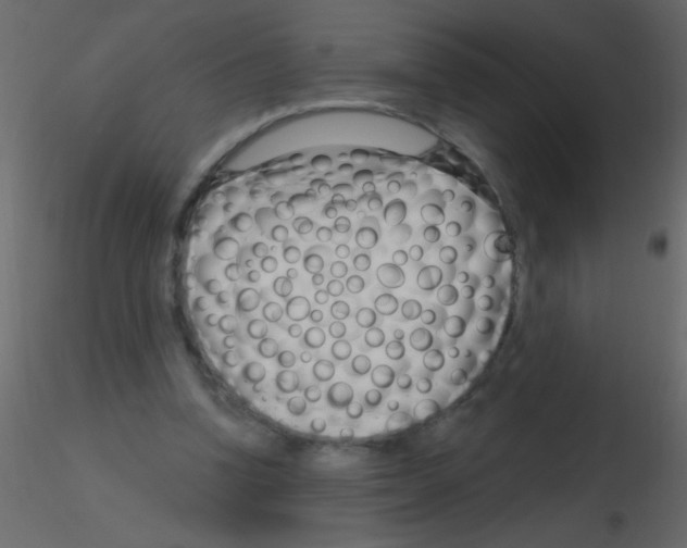 X0000115810346200912241919