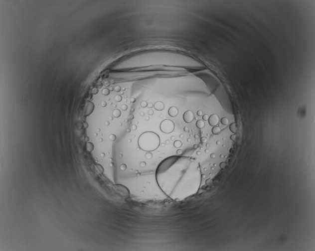 X0000115810347200912241919