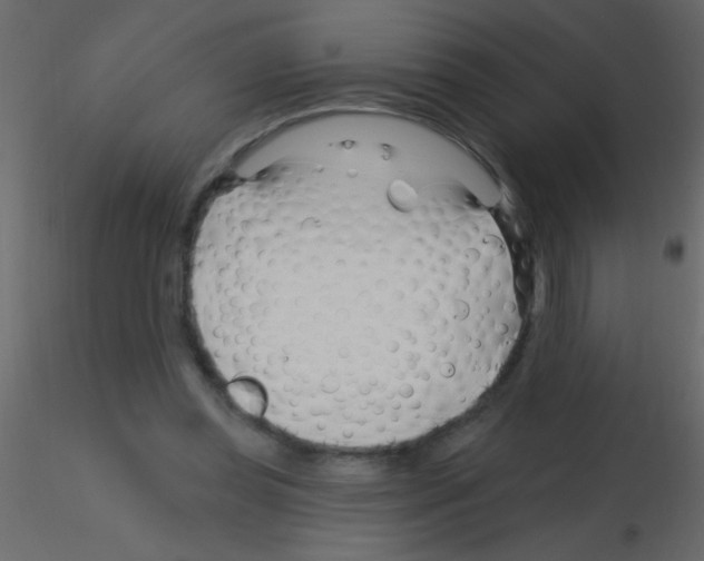 X0000115810349200912241919