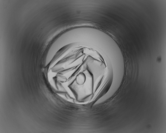 X0000115810350200912241919