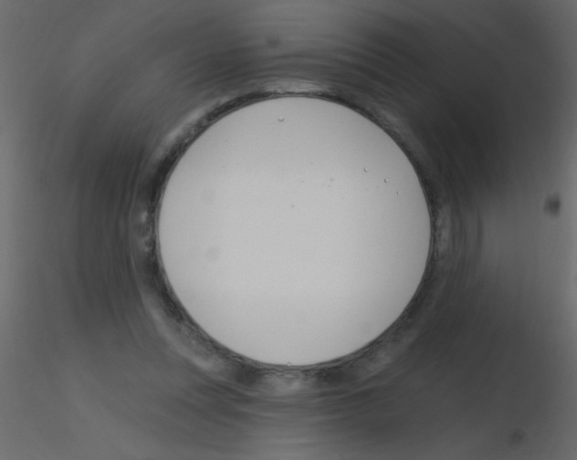 X0000115810351200912241919