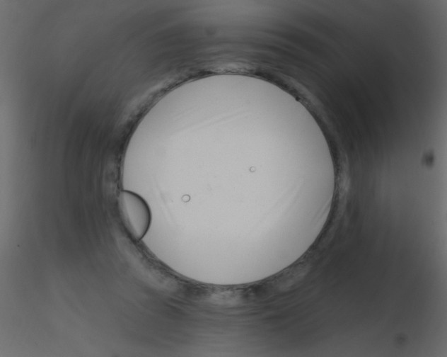 X0000115810353200912241919