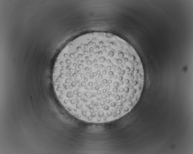 X0000115810354200912241919