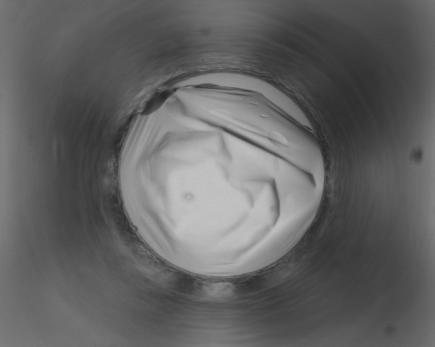 X0000115810355200912241919