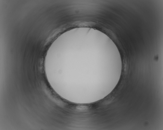 X0000115810357200912241919