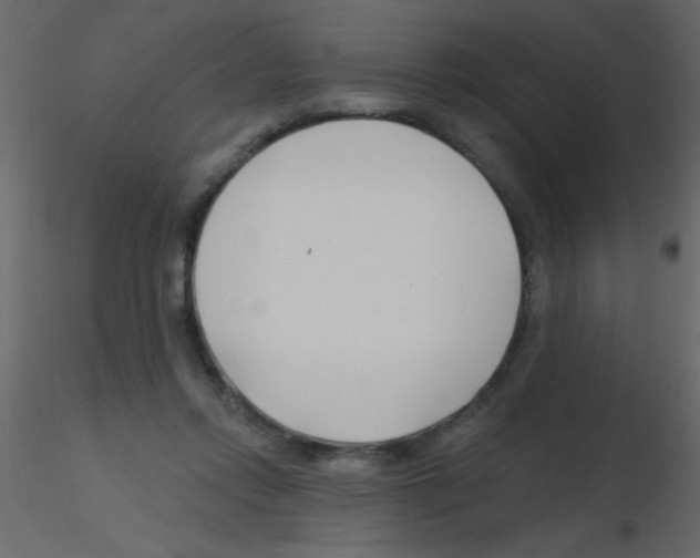 X0000115810358200912241919