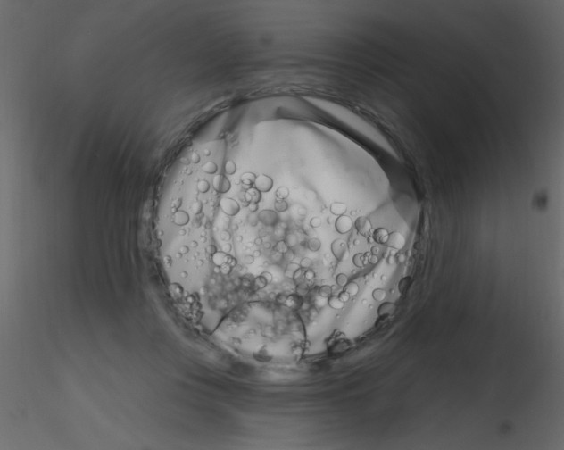 X0000115810359200912241919