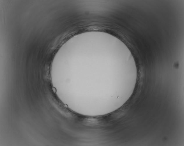 X0000115810361200912241919