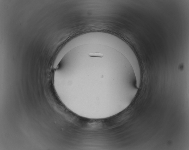 X0000115810362200912241919