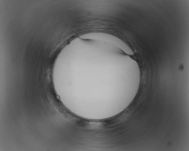 X0000115810363200912241919